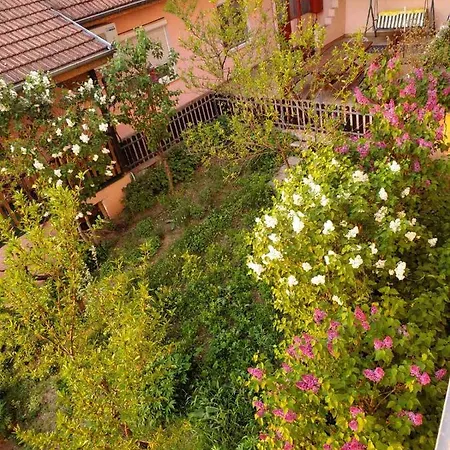 Royal Panorama & Free Parking Apartment Soko Banja