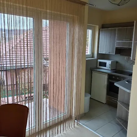 Apartment Royal Panorama & Free Parking Soko Banja